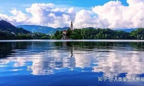 药材刺蒺藜-刺蒺藜药用网刺蒺藜的用药禁忌知识网站,分享刺蒺藜药性大全